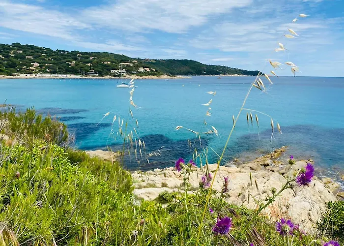 Paradise Vue Golfe De Saint Tropez 8 Couchages