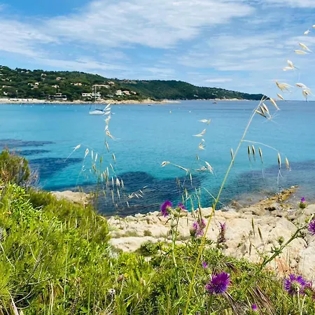 Paradise Vue Golfe De Saint Tropez 8 Couchages